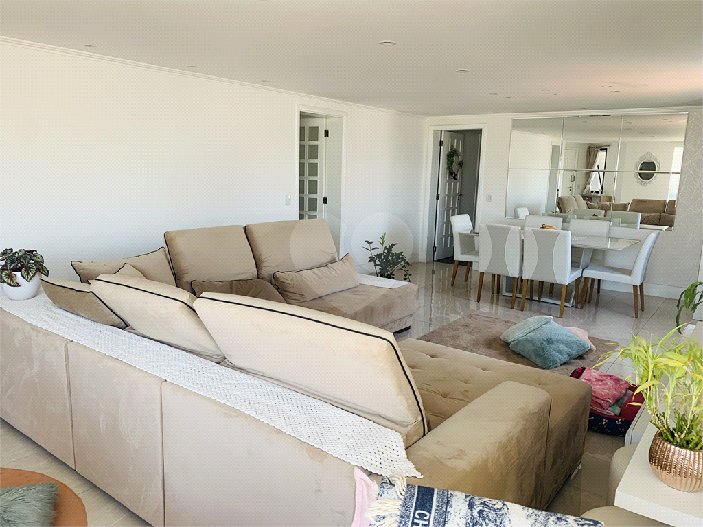 Apartamento no bairro da Vila Maria 3 dormitórios sendo 1 suite. Sala para 2 ambientes.