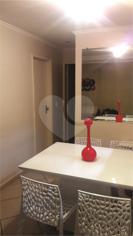 Apartamento Vila Amália 