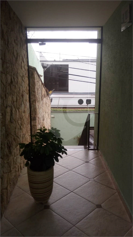 EXCELENTE ASSOBRADA