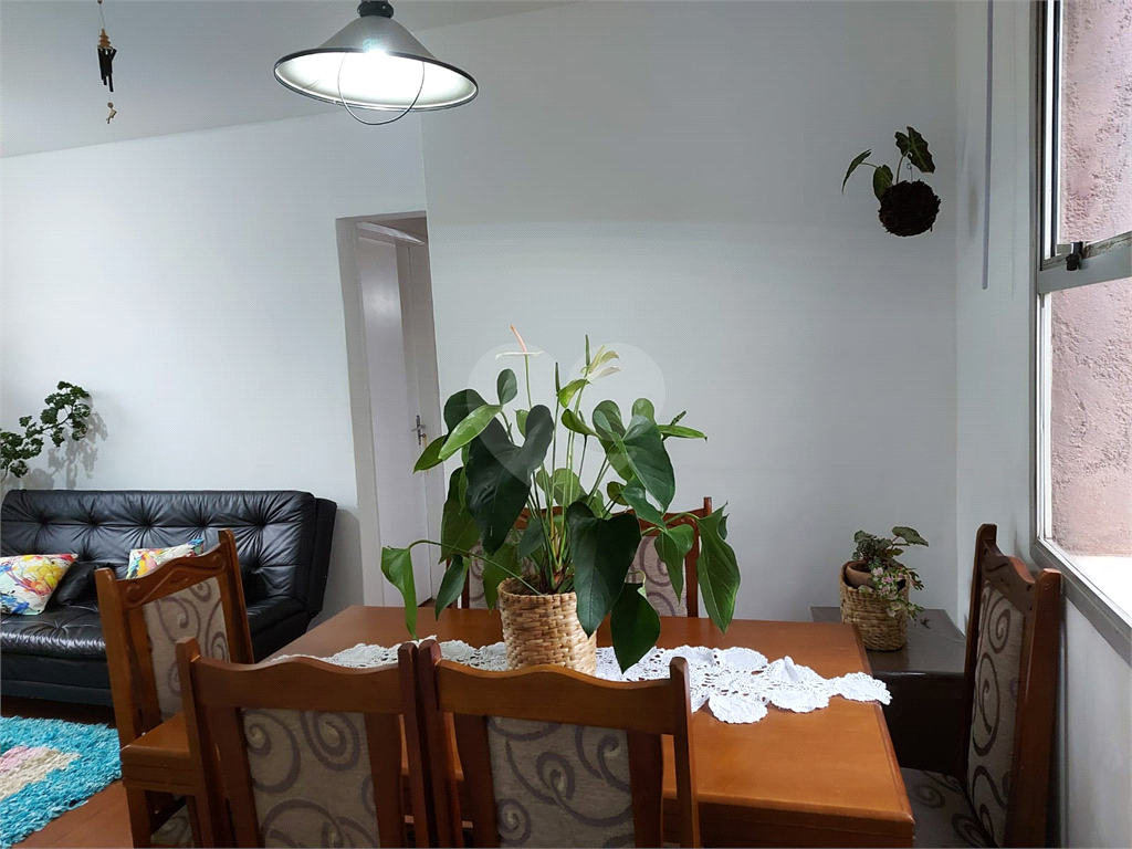 APARTAMENTO em MANDAQUI