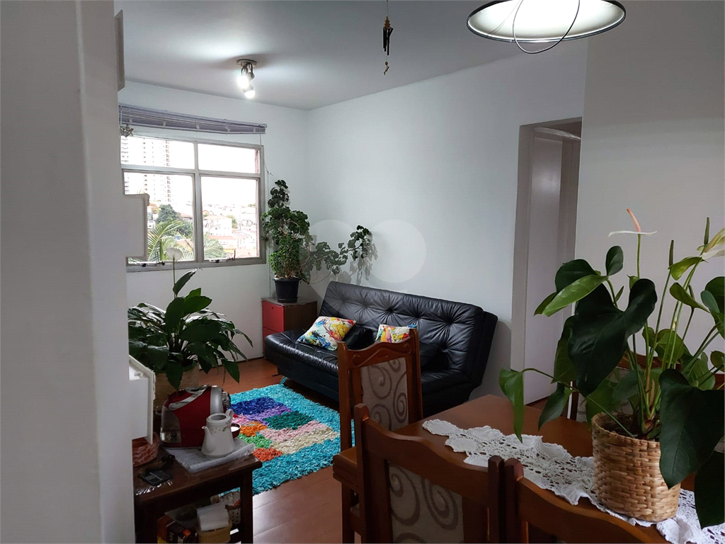 APARTAMENTO em MANDAQUI