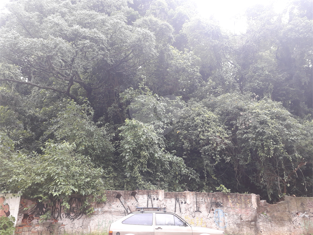 TERRENO em SANTANA