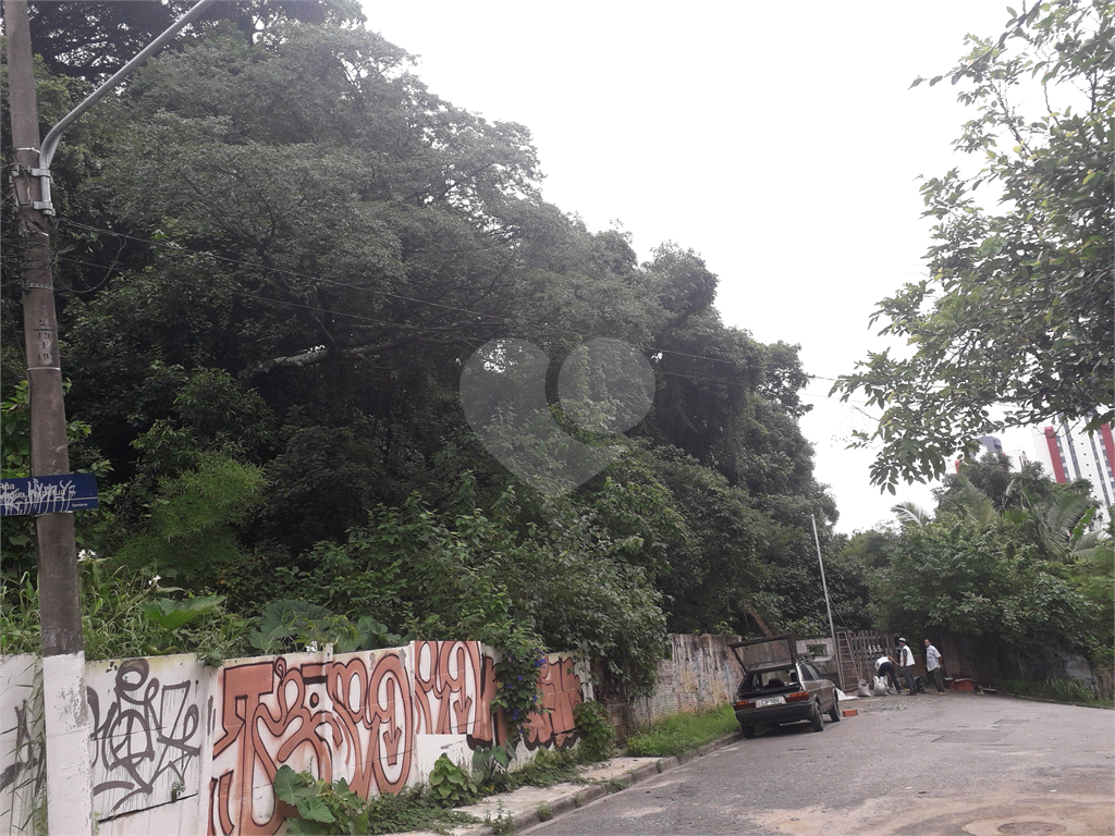 terreno levemente aclive no bairro de santana ao lado da estação do metro , sendo, sendo 10 metros d