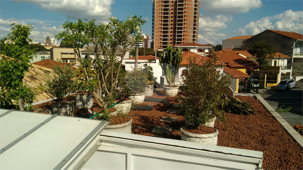 Casa no Jardim São Paulo com 3 dormitórios
