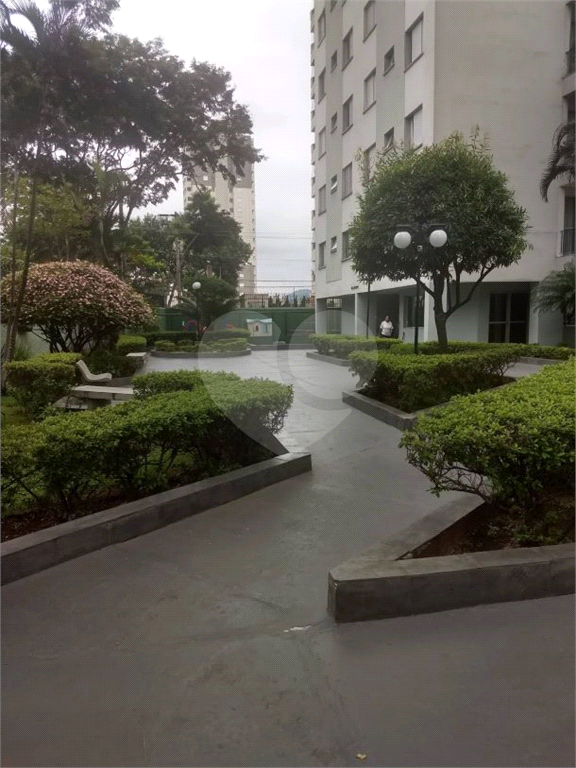 Apartamento para venda Vila Amália