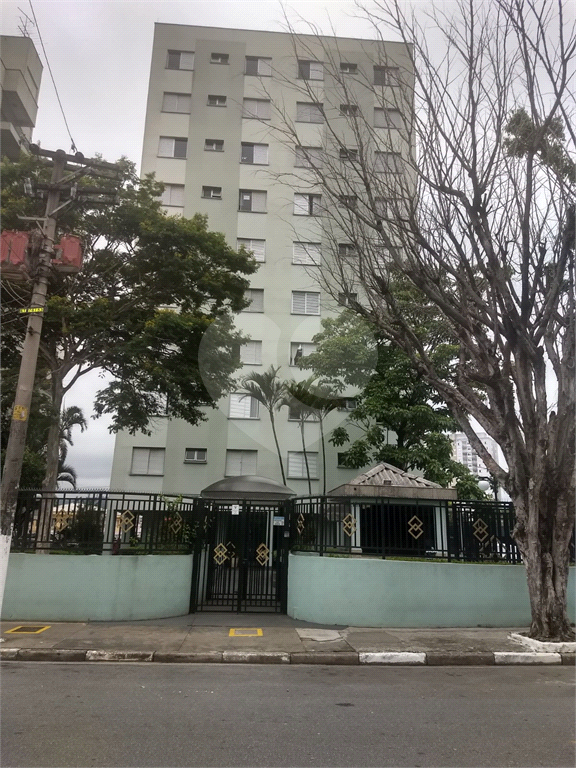 Apartamento para venda Vila Amália