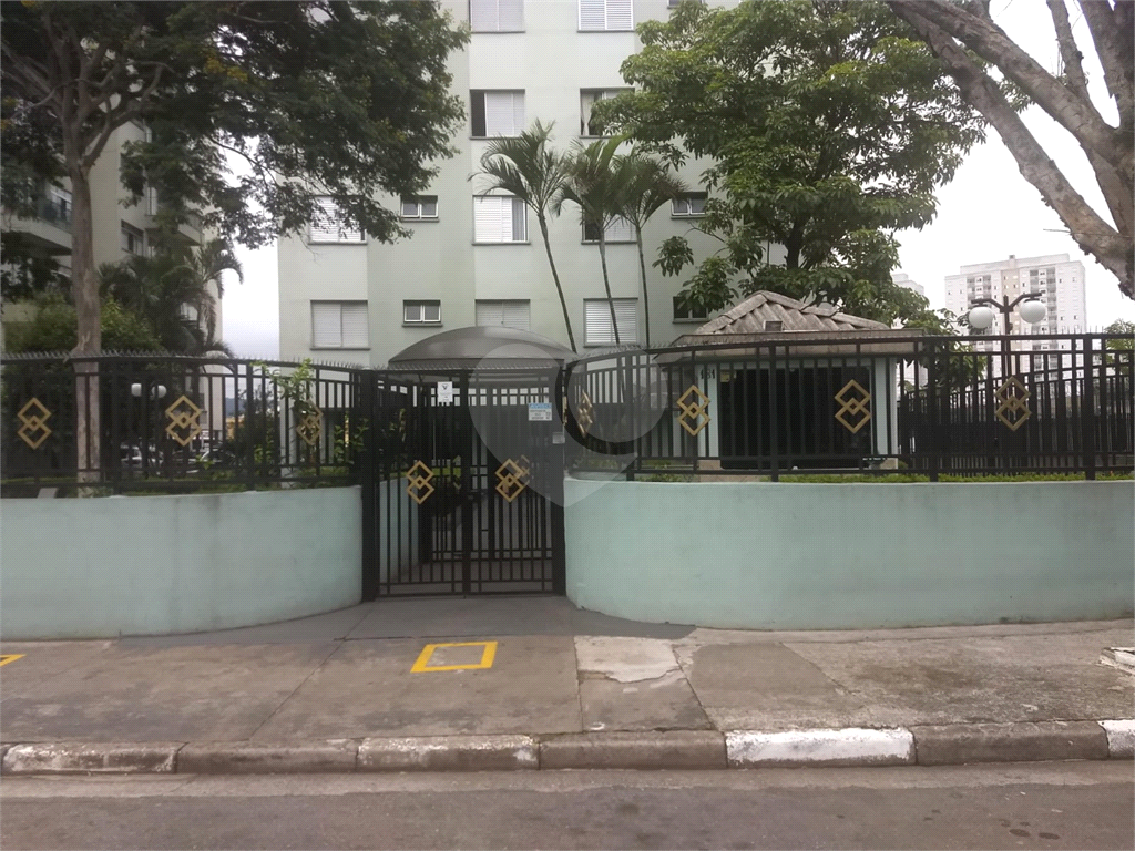 Apartamento para venda Vila Amália