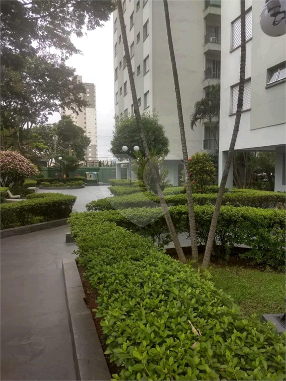 Apartamento para venda Vila Amália