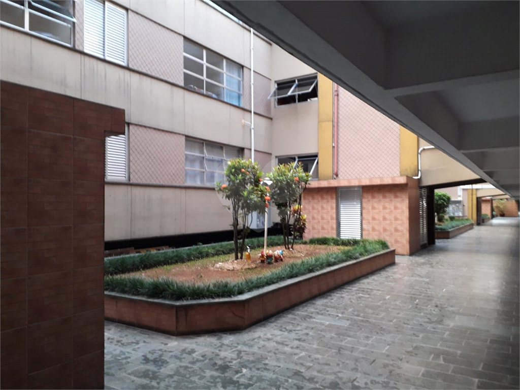 Apartamento grande, e preço imperdível 