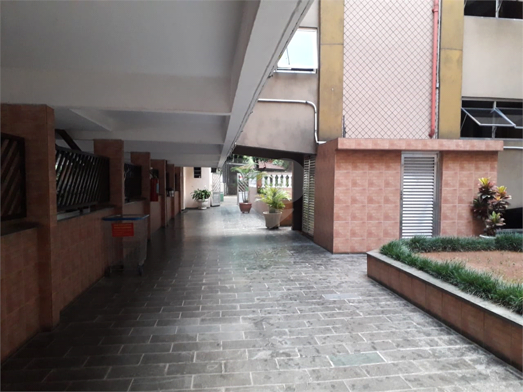 Apartamento grande, e preço imperdível 