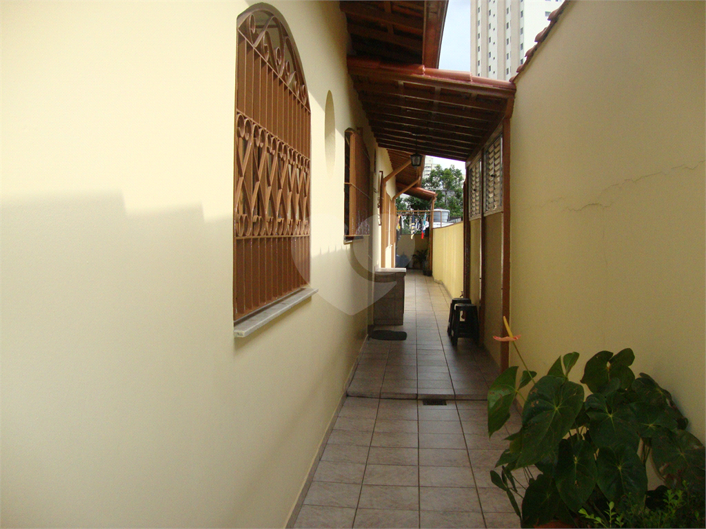 CASA TÉRREA em MANDAQUI