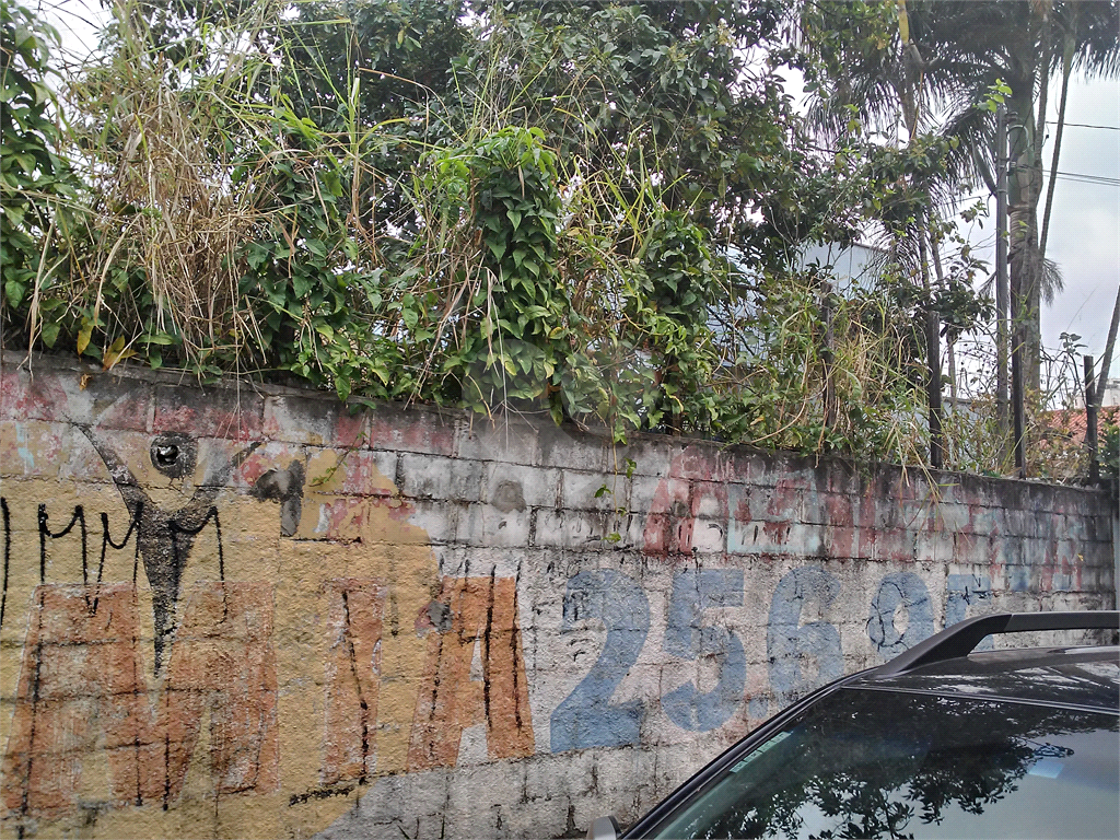 Terreno Barro Branco