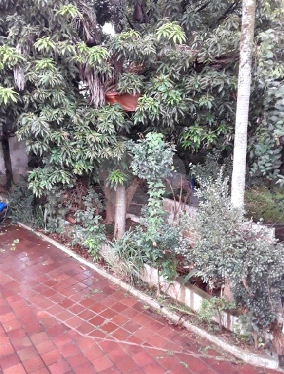 TERRENO em TUCURUVI