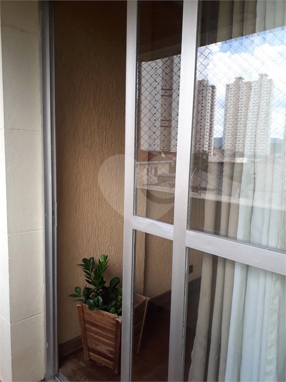Apartamento 03 dormitórios (uma suíte) no melhor ponto do Mandaqui.