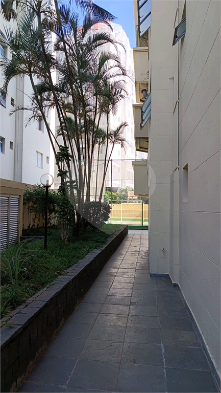 Apartamento 03 dormitórios (uma suíte) no melhor ponto do Mandaqui.