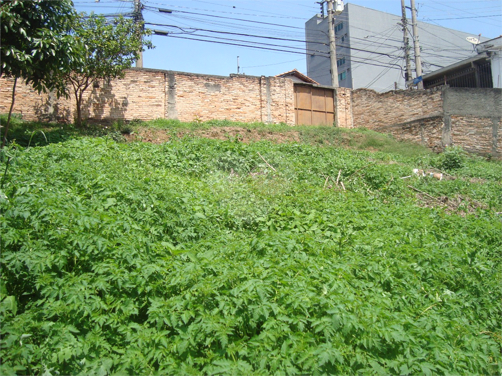 Terreno no Imirim