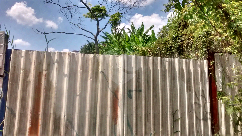 Terreno com 4.644 m2 - Mandaqui - loc. jto a Av. Eng Caetano ( 200 metros ) e Rua Volunt da Pátria