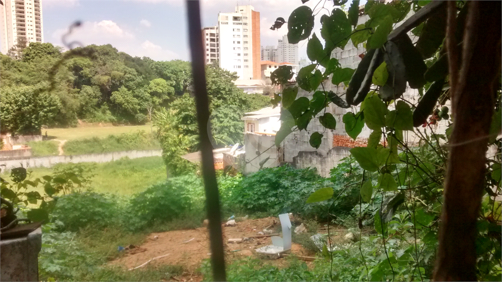 Terreno com 4.644 m2 - Mandaqui - loc. jto a Av. Eng Caetano ( 200 metros ) e Rua Volunt da Pátria