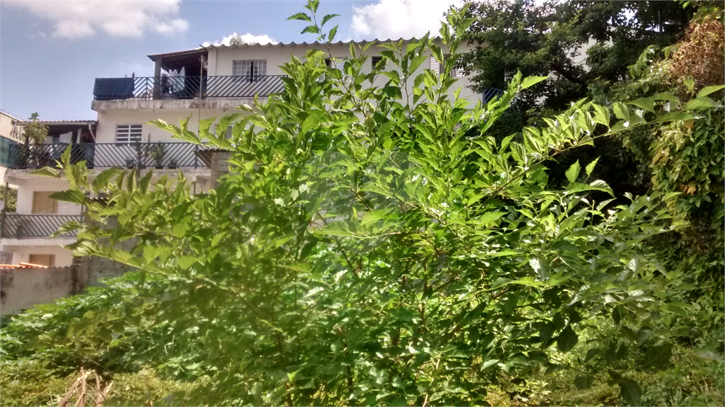 Terreno com 4.644 m2 - Mandaqui - loc. jto a Av. Eng Caetano ( 200 metros ) e Rua Volunt da Pátria