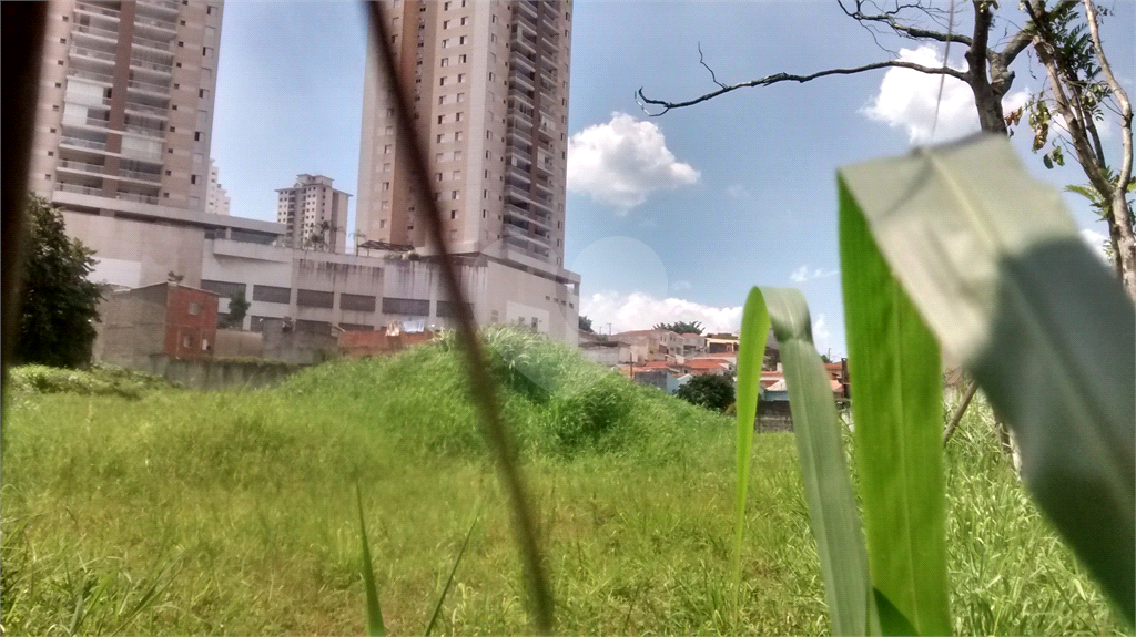Terreno com 4.644 m2 - Mandaqui - loc. jto a Av. Eng Caetano ( 200 metros ) e Rua Volunt da Pátria