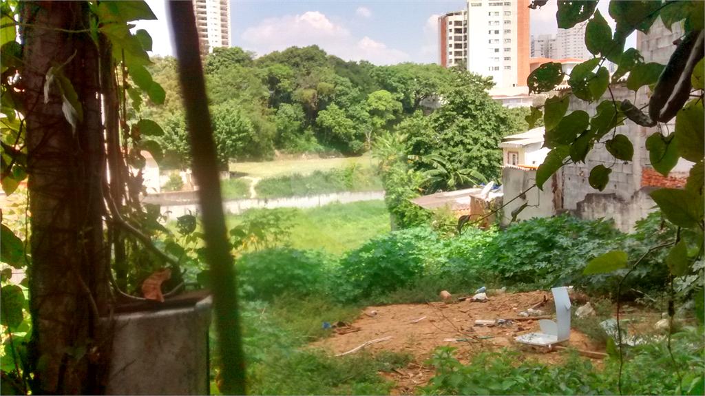 Terreno com 4.644 m2 - Mandaqui - loc. jto a Av. Eng Caetano ( 200 metros ) e Rua Volunt da Pátria