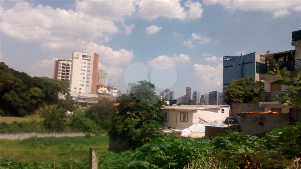 Terreno com 4.644 m2 - Mandaqui - loc. jto a Av. Eng Caetano ( 200 metros ) e Rua Volunt da Pátria