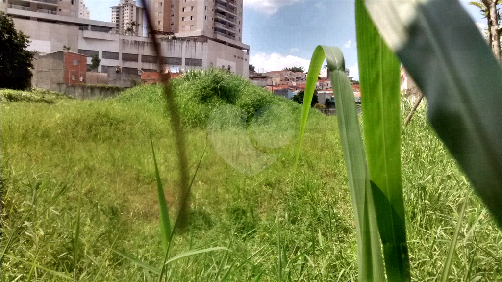 Terreno com 4.644 m2 - Mandaqui - loc. jto a Av. Eng Caetano ( 200 metros ) e Rua Volunt da Pátria