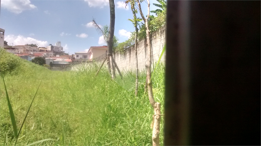 Terreno com 4.644 m2 - Mandaqui - loc. jto a Av. Eng Caetano ( 200 metros ) e Rua Volunt da Pátria