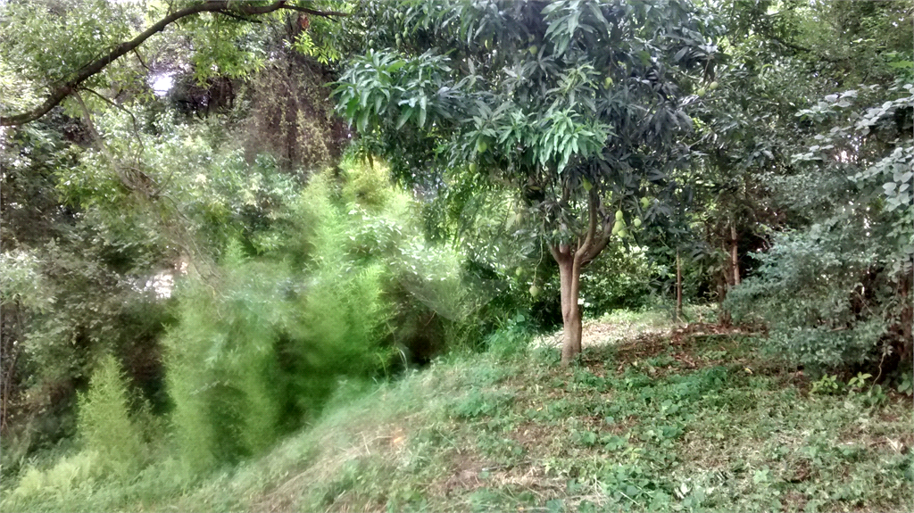 Terreno com 4.644 m2 - Mandaqui - loc. jto a Av. Eng Caetano ( 200 metros ) e Rua Volunt da Pátria