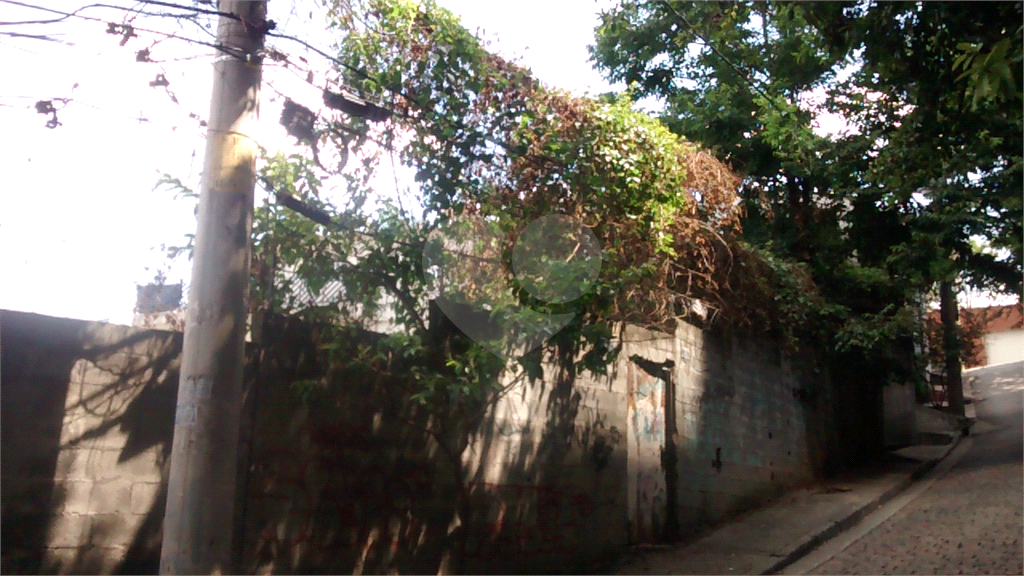 Terreno com 4.644 m2 - Mandaqui - loc. jto a Av. Eng Caetano ( 200 metros ) e Rua Volunt da Pátria