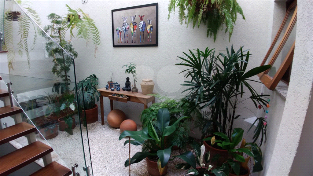 Casa no Tucuruvi com 4 quartos, 6 vagas e uma linda piscina 