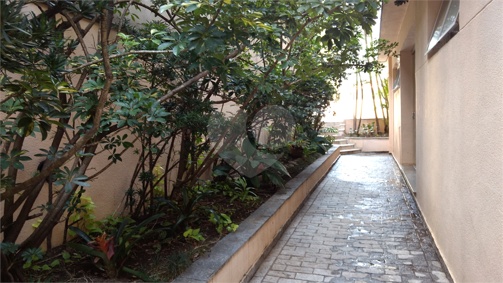 STUDIO OPORTUNIDADE