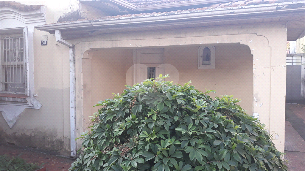 Terreno de 9 x 27, 5 m localizado na Av. Gustavo Adolfo, a mais ou menos 1 km metrô Tucuruvi.
