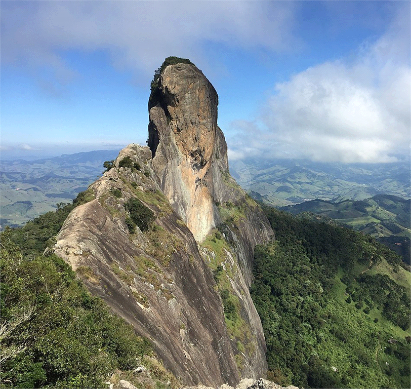 Vende Sítio/Reg. Campos do Jordão - 270.000 metros quadrados