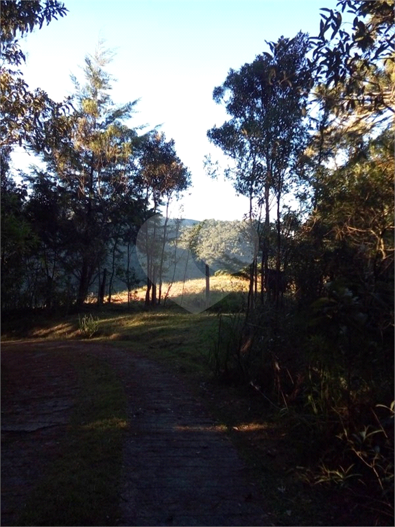 Vende Sítio/Reg. Campos do Jordão - 270.000 metros quadrados