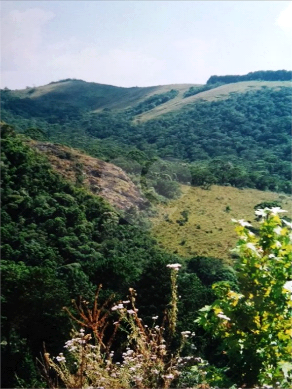 Vende Sítio/Reg. Campos do Jordão - 270.000 metros quadrados