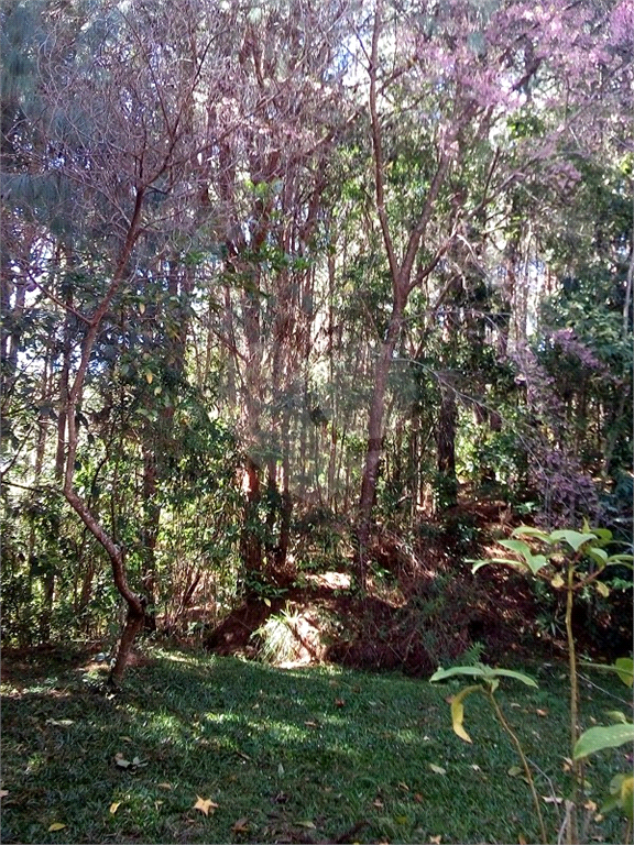 Vende Sítio/Reg. Campos do Jordão - 270.000 metros quadrados