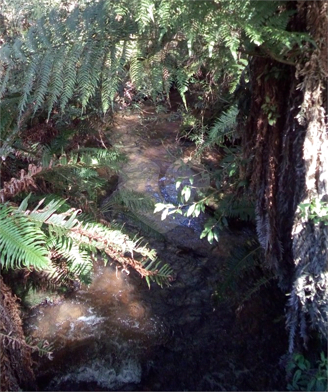 Vende Sítio/Reg. Campos do Jordão - 270.000 metros quadrados