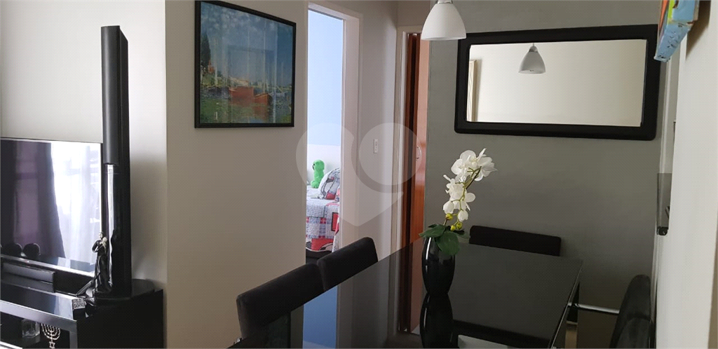 Apartamento Vila Amália