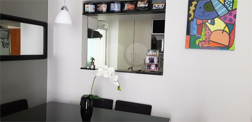 Apartamento Vila Amália