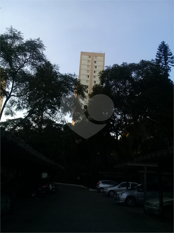 Apartamento em meio a muito verde com 60 m²  2 dormitorios 1 vaga