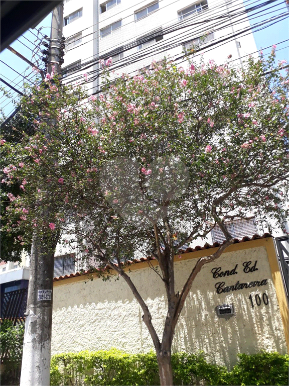 Apartamento Tucuruvi