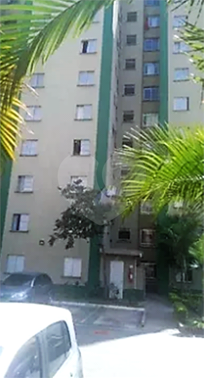 Apartamento em Vila Nova Cachoeirinha - São Paulo, SP