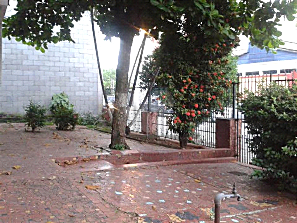 Casa Verde. Terreno. 3 casas no terreno