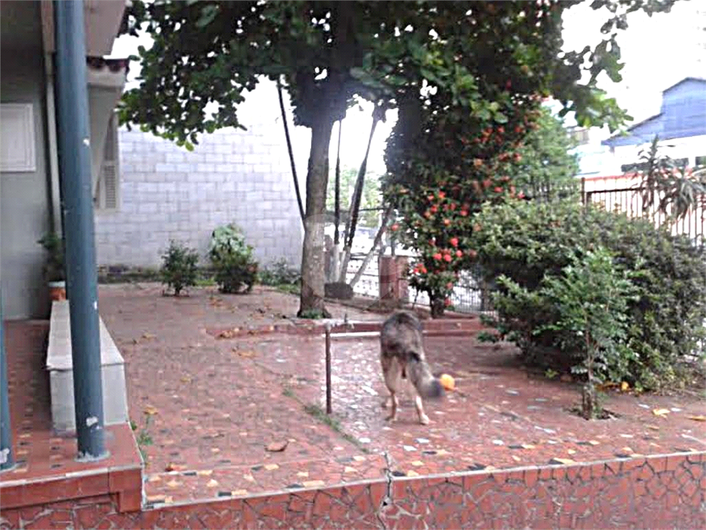 Casa Verde. Terreno. 3 casas no terreno