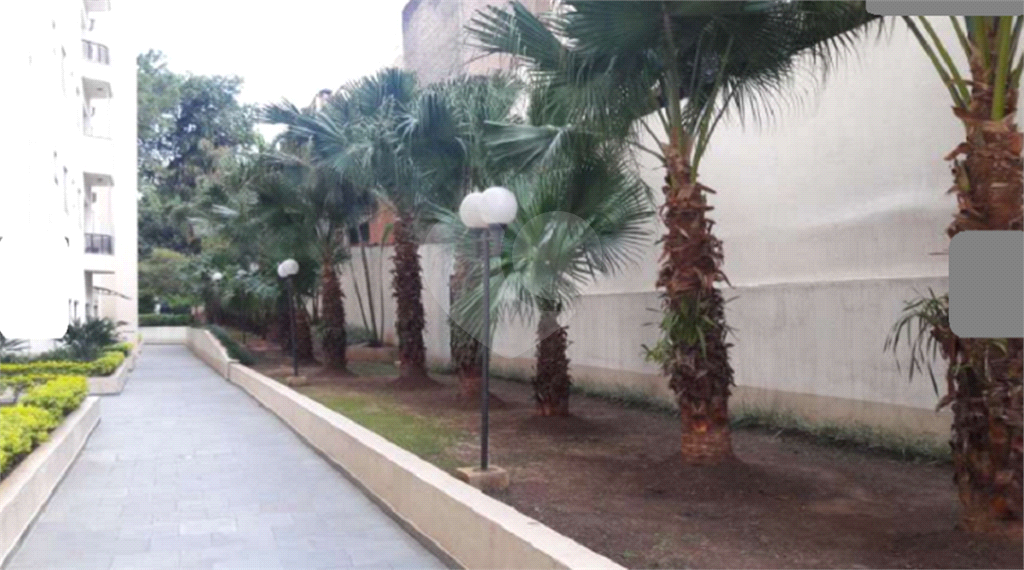 APARTAMENTO em MANDAQUI