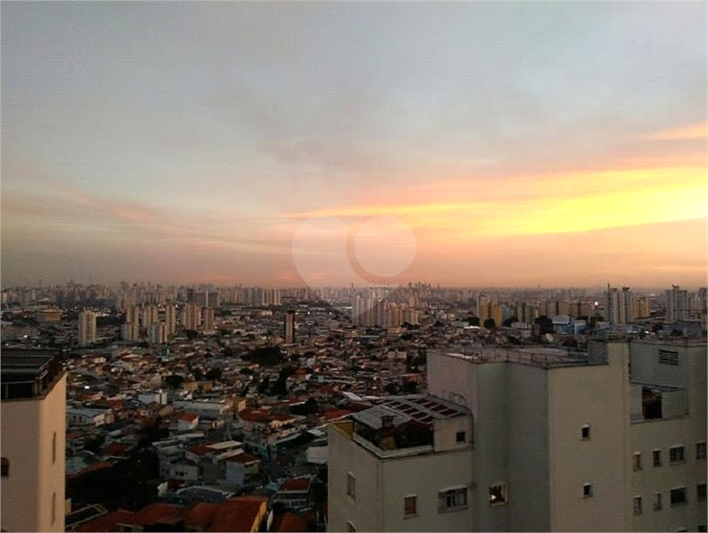 Apartamento no Bairro do Limão Andar Alto Vista Panorâmica