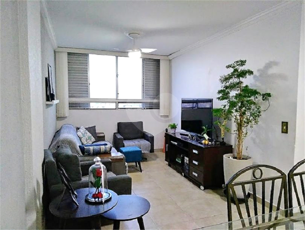 Apartamento no Bairro do Limão Andar Alto Vista Panorâmica