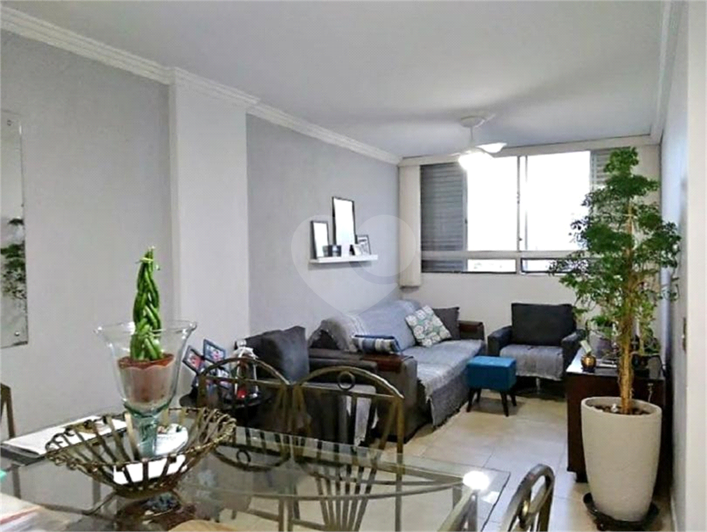 Apartamento no Bairro do Limão Andar Alto Vista Panorâmica