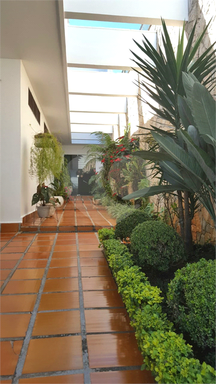 Casa Jardim Franca